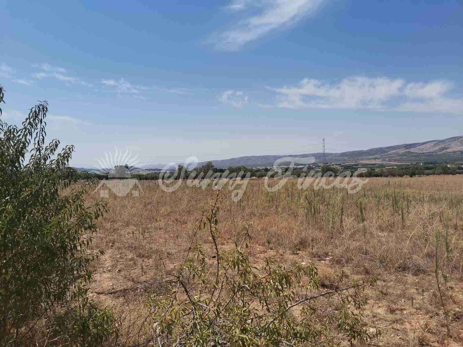 Bouwgrond te koop in Biar - € 125.000 (Ref: 7073678)