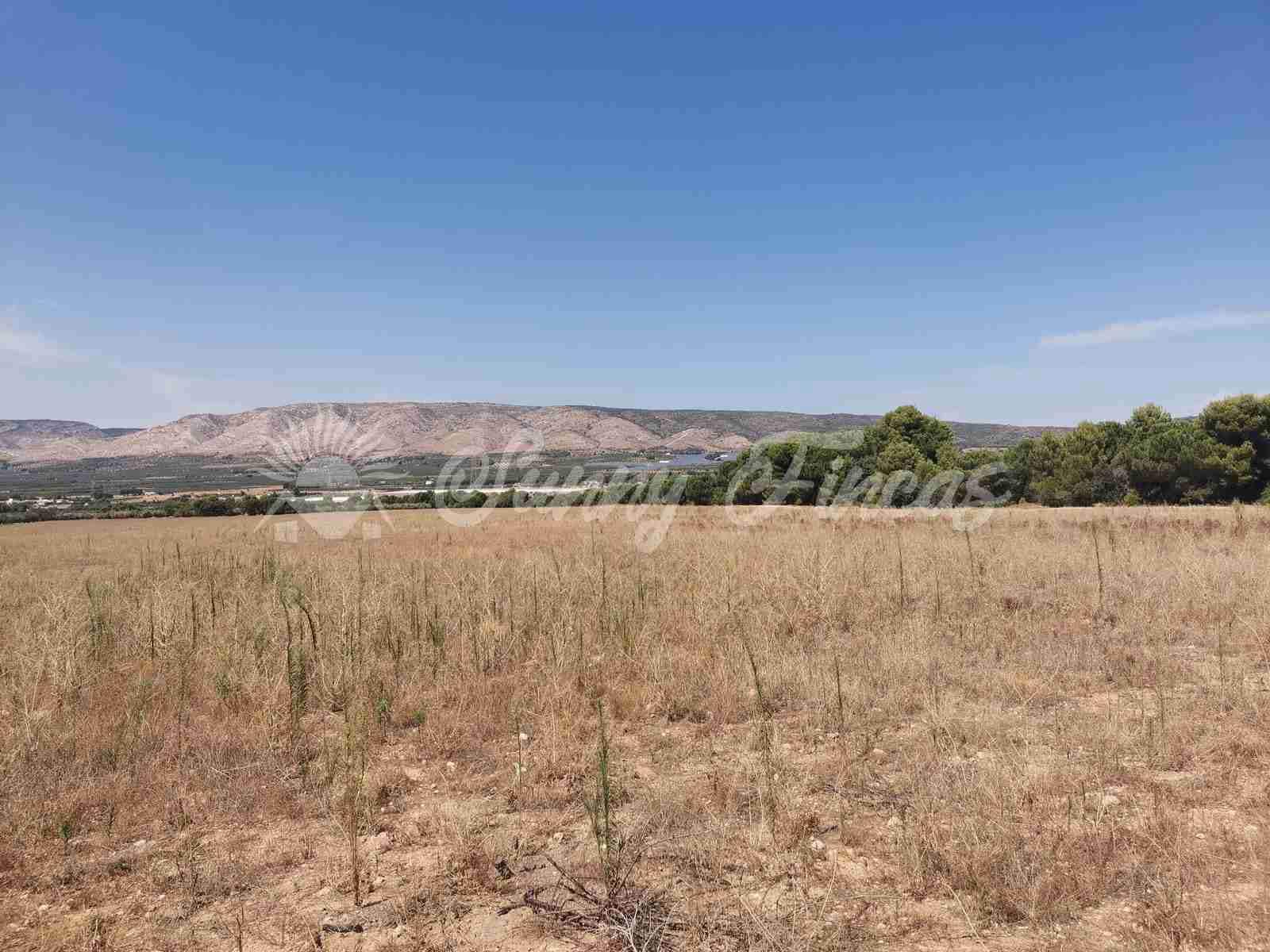 Bouwgrond te koop in Biar - € 125.000 (Ref: 7073678)