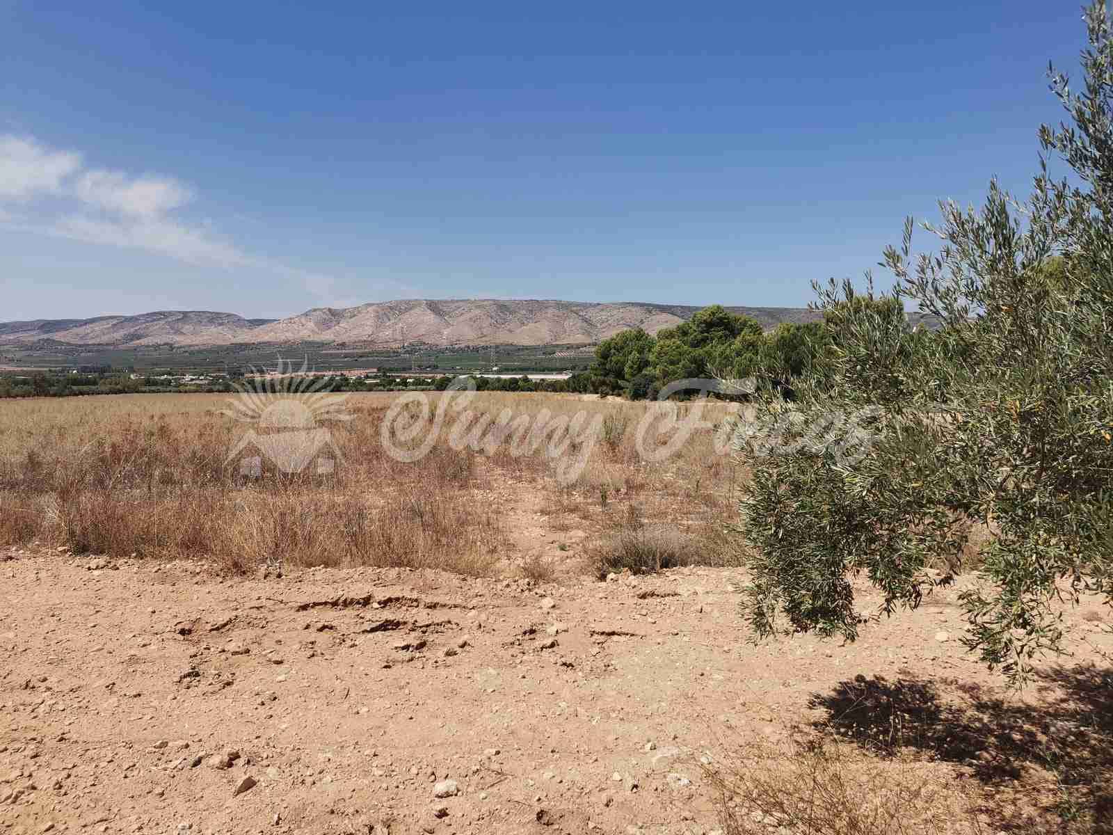 Bouwgrond te koop in Biar - € 125.000 (Ref: 7073678)