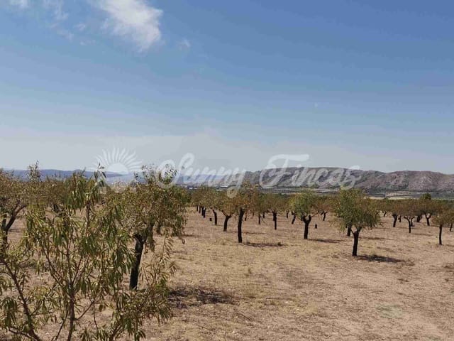 Tomt till salu i Biar - 49 995 € (Ref: 7086227)