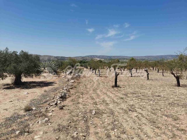 Tomt till salu i Biar - 49 995 € (Ref: 7086227)