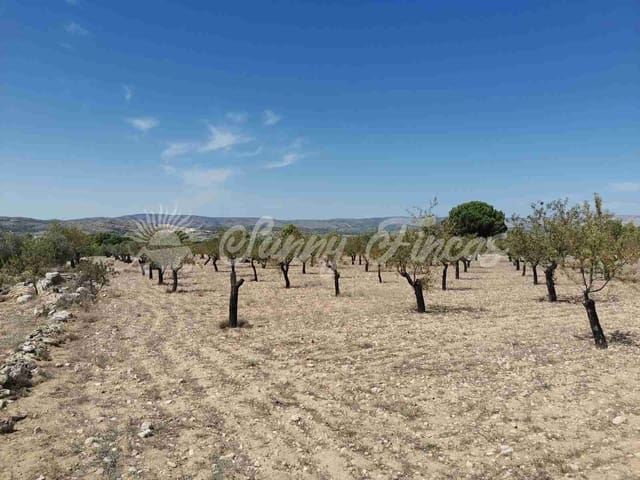 Tomt till salu i Biar - 49 995 € (Ref: 7086227)