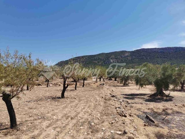 Tomt till salu i Biar - 49 995 € (Ref: 7086227)