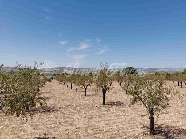 Tomt till salu i Biar - 49 995 € (Ref: 7086227)