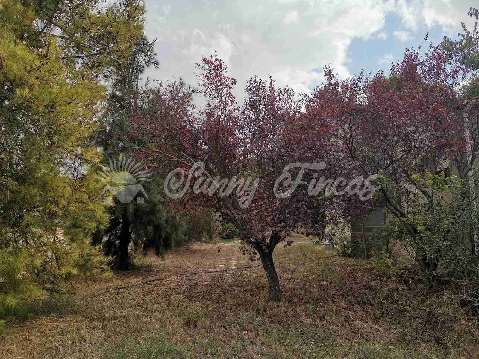 6 soveværelse Villa til salg i Canada med garage - € 235.000 (Ref: 7161782)