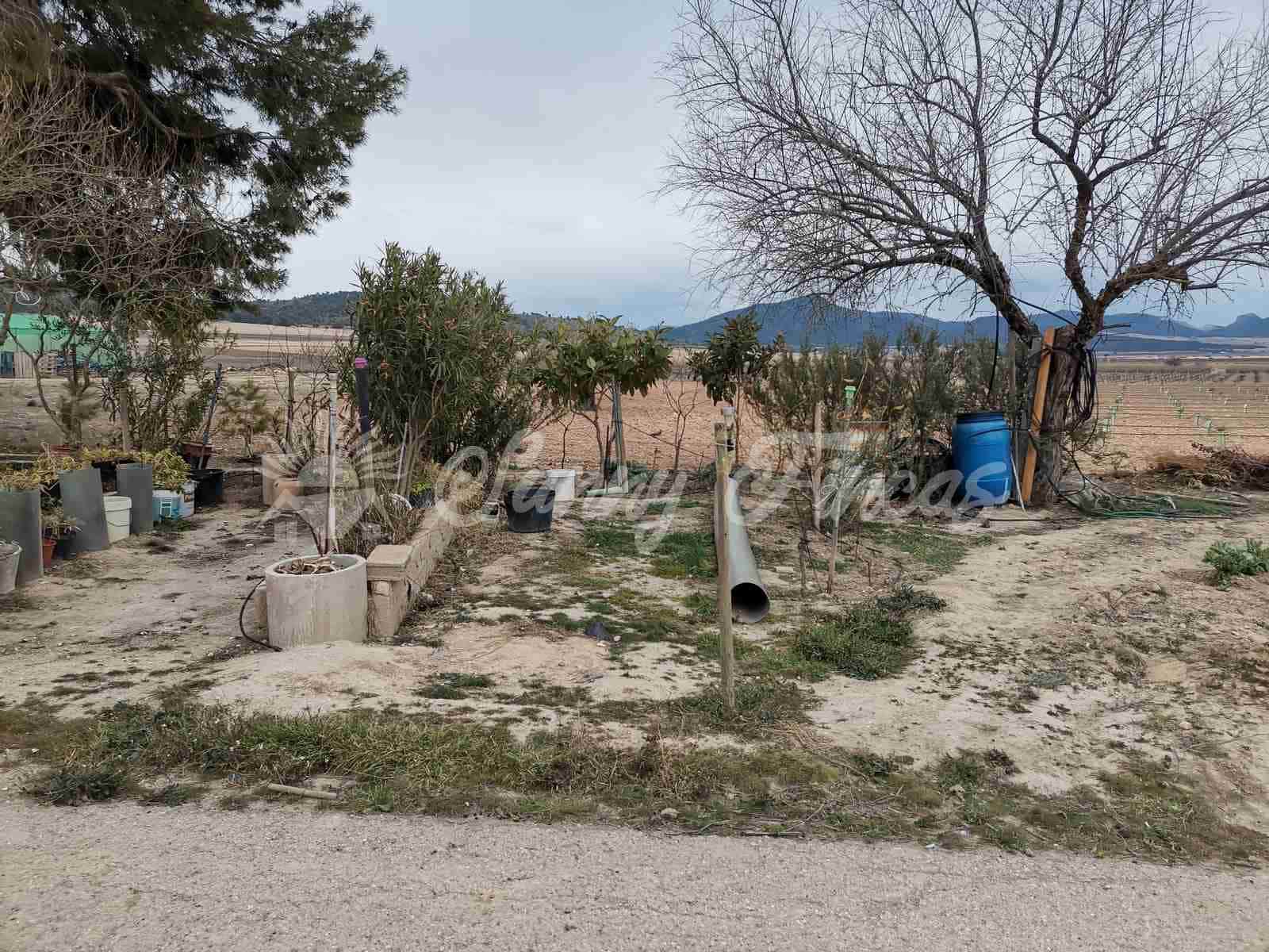 5 soveværelse Finca/Landehus til salg i Yecla med garage - € 65.000 (Ref: 7429738)