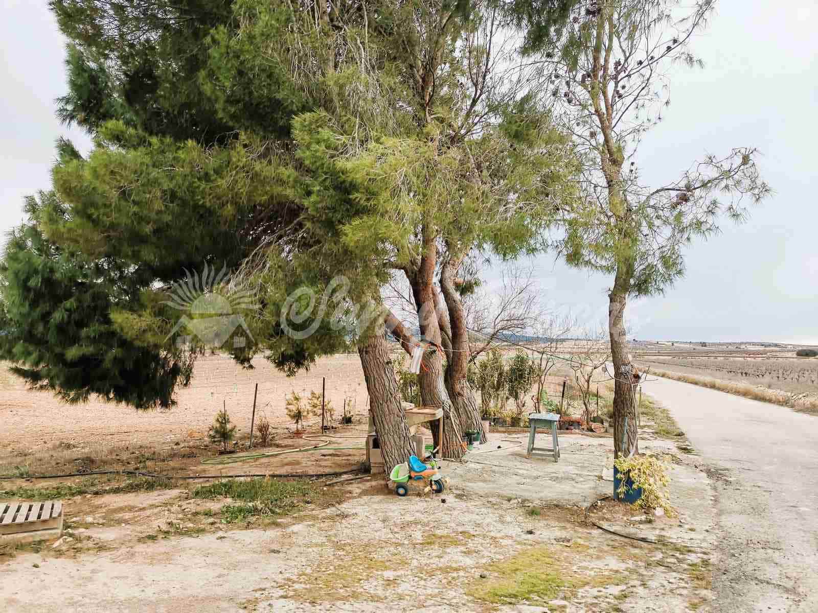 5 soveværelse Finca/Landehus til salg i Yecla med garage - € 65.000 (Ref: 7429738)