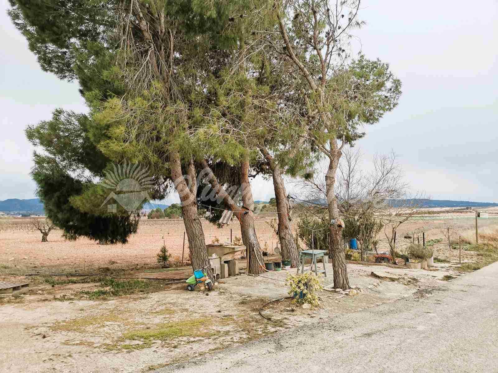 5 soveværelse Finca/Landehus til salg i Yecla med garage - € 65.000 (Ref: 7429738)