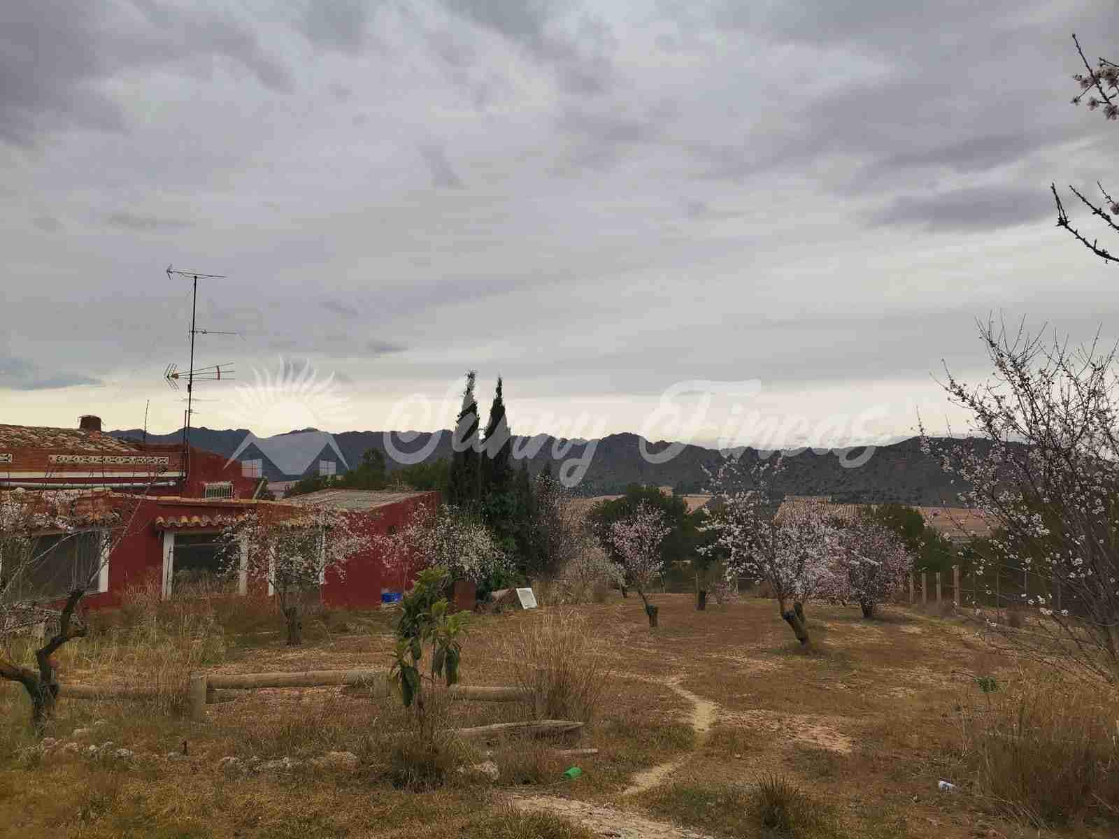 6 soveværelse Finca/Landehus til salg i Yecla med swimmingpool garage - € 139.995 (Ref: 7462606)