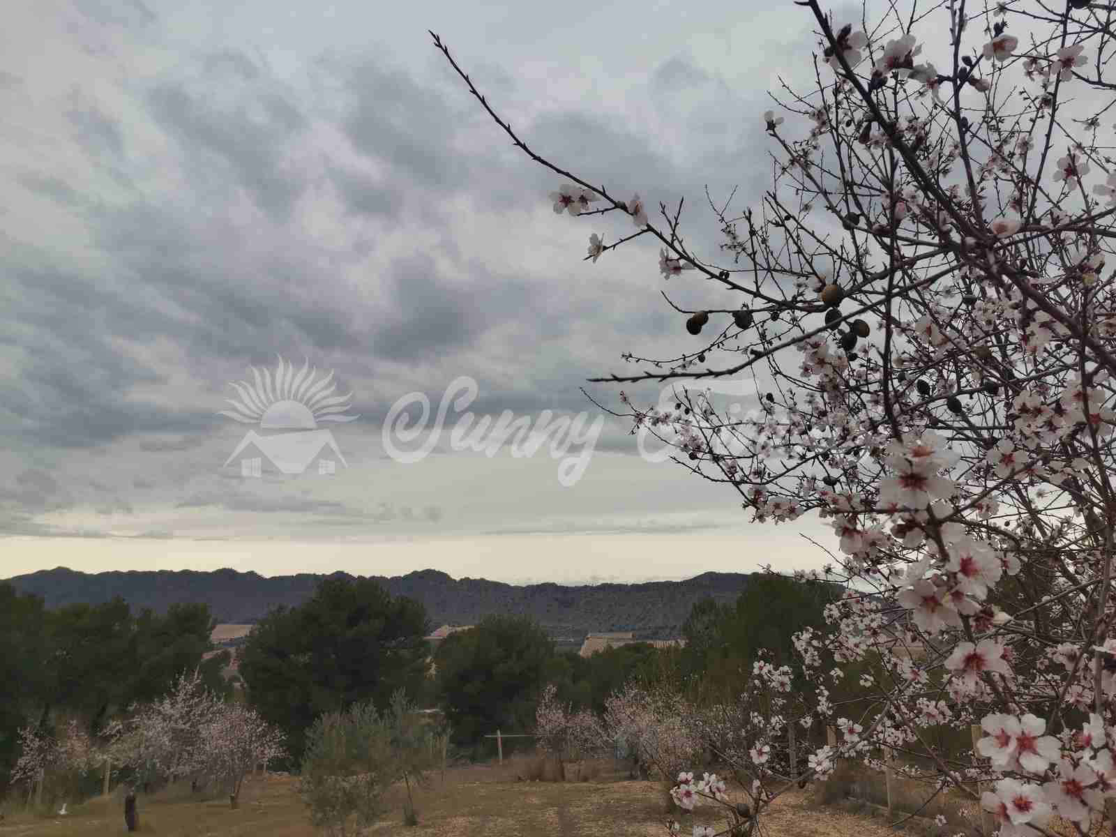 6 soveværelse Finca/Landehus til salg i Yecla med swimmingpool garage - € 139.995 (Ref: 7462606)