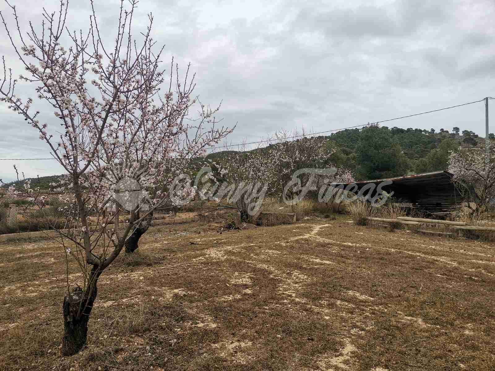 6 soveværelse Finca/Landehus til salg i Yecla med swimmingpool garage - € 139.995 (Ref: 7462606)