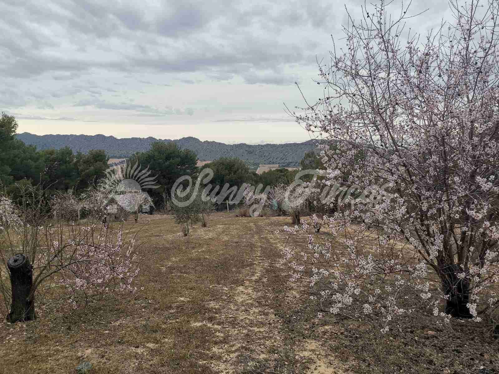 6 soveværelse Finca/Landehus til salg i Yecla med swimmingpool garage - € 139.995 (Ref: 7462606)