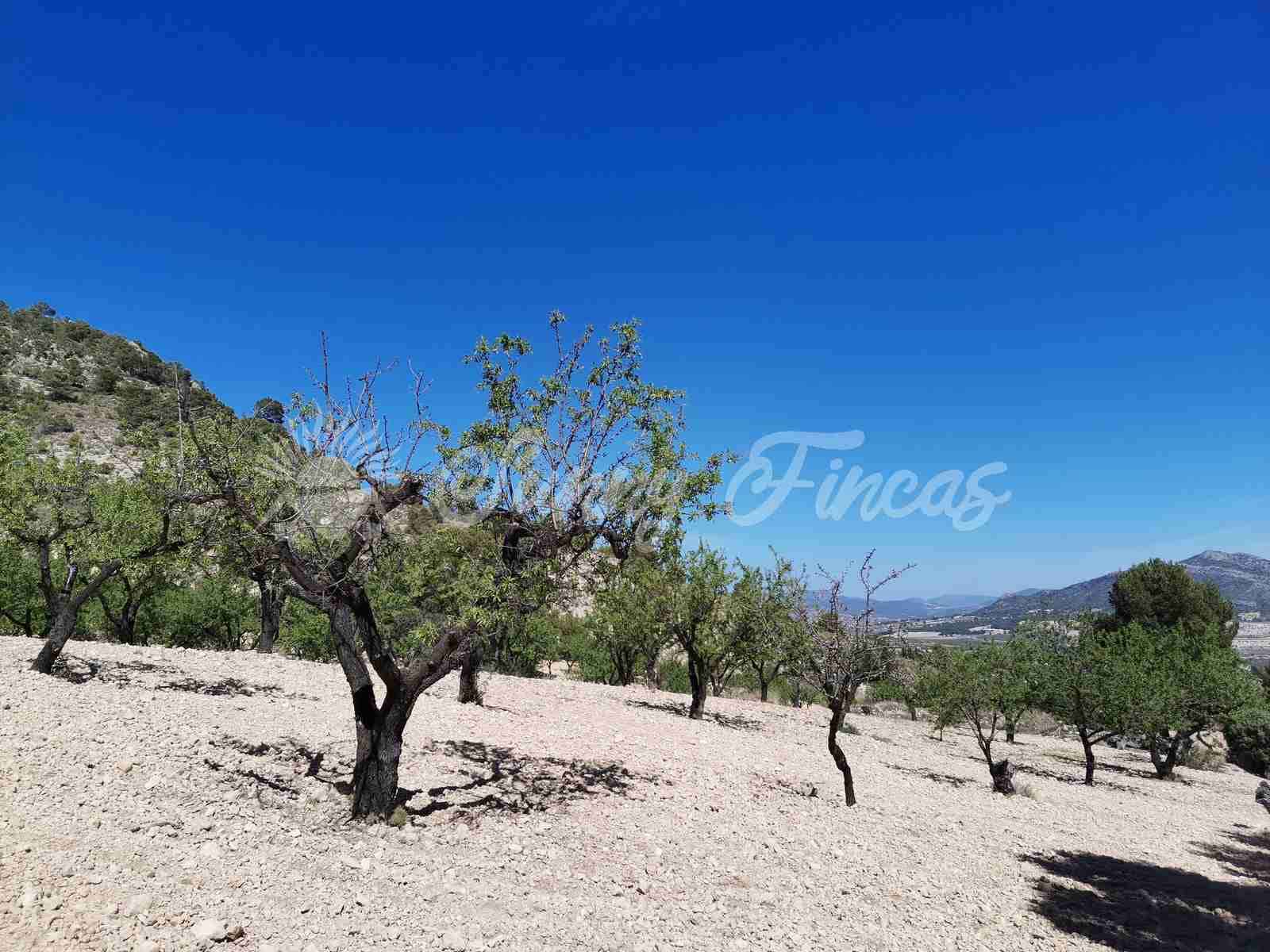 Finca/Landehus til salg i Salinas med garage - € 85.000 (Ref: 7503780)