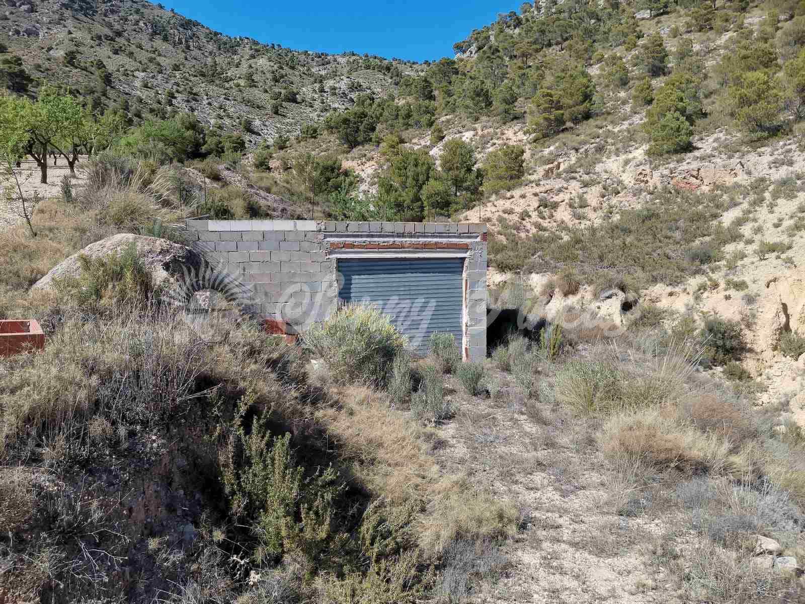 Finca/Landehus til salg i Salinas med garage - € 85.000 (Ref: 7503780)