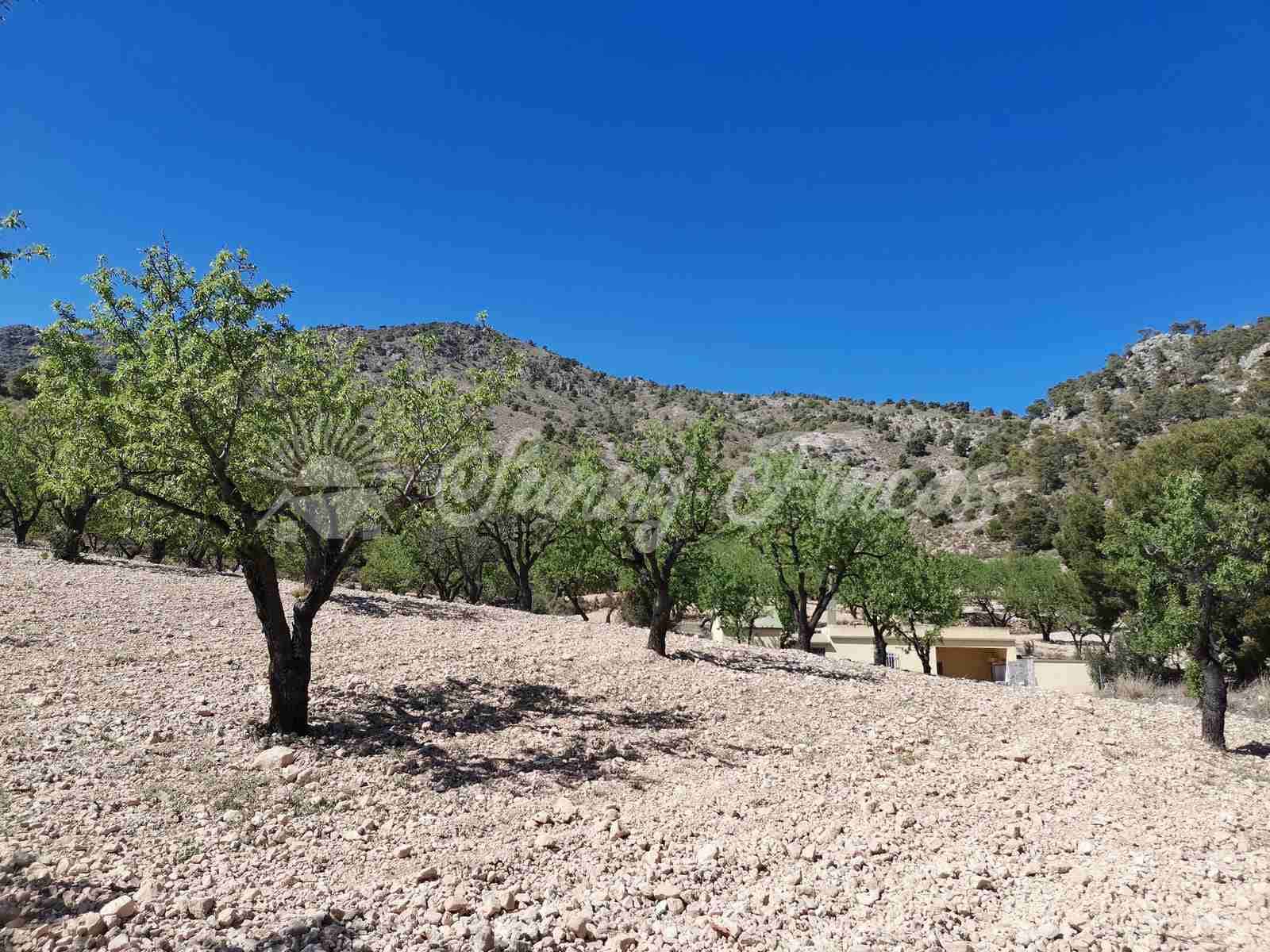 Finca/Landehus til salg i Salinas med garage - € 85.000 (Ref: 7503780)