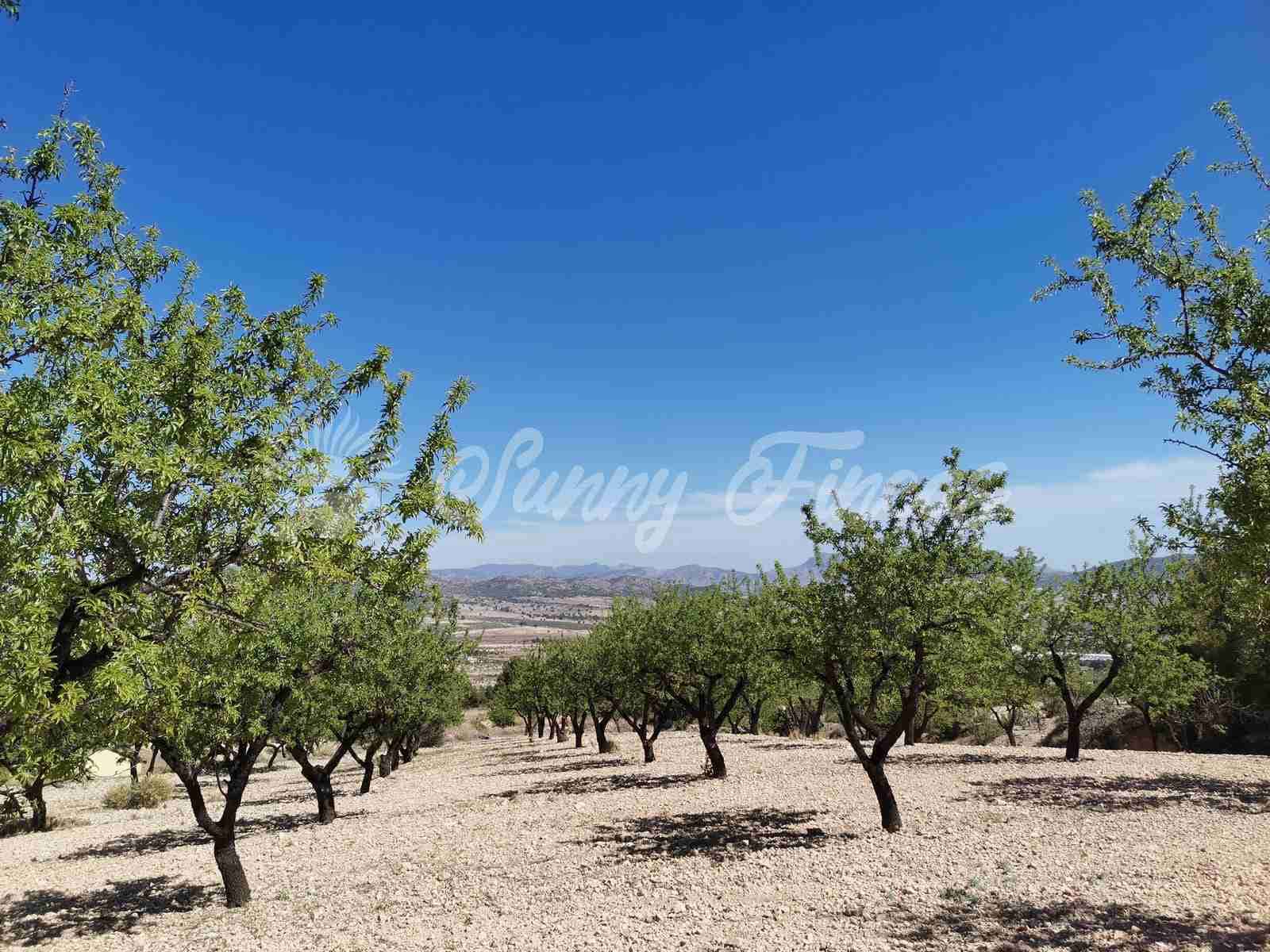 Finca/Landehus til salg i Salinas med garage - € 85.000 (Ref: 7503780)