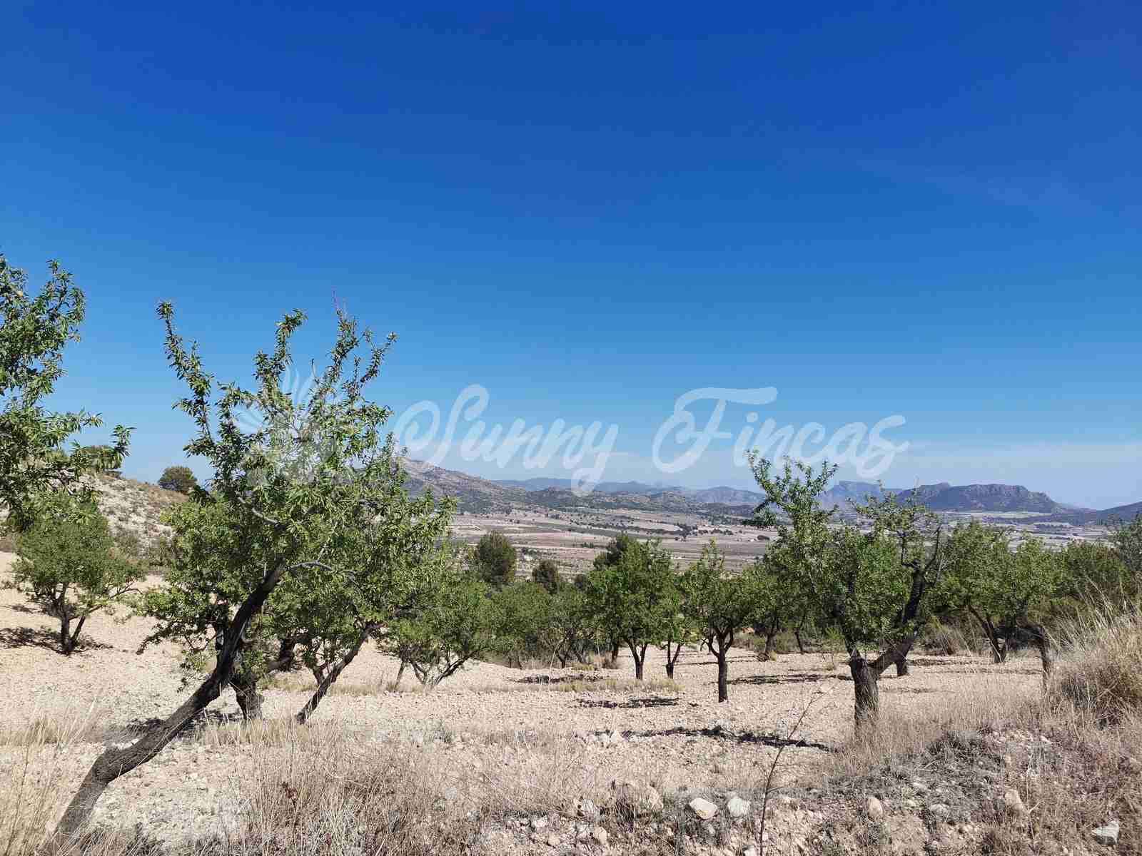 Finca/Landehus til salg i Salinas med garage - € 85.000 (Ref: 7503780)