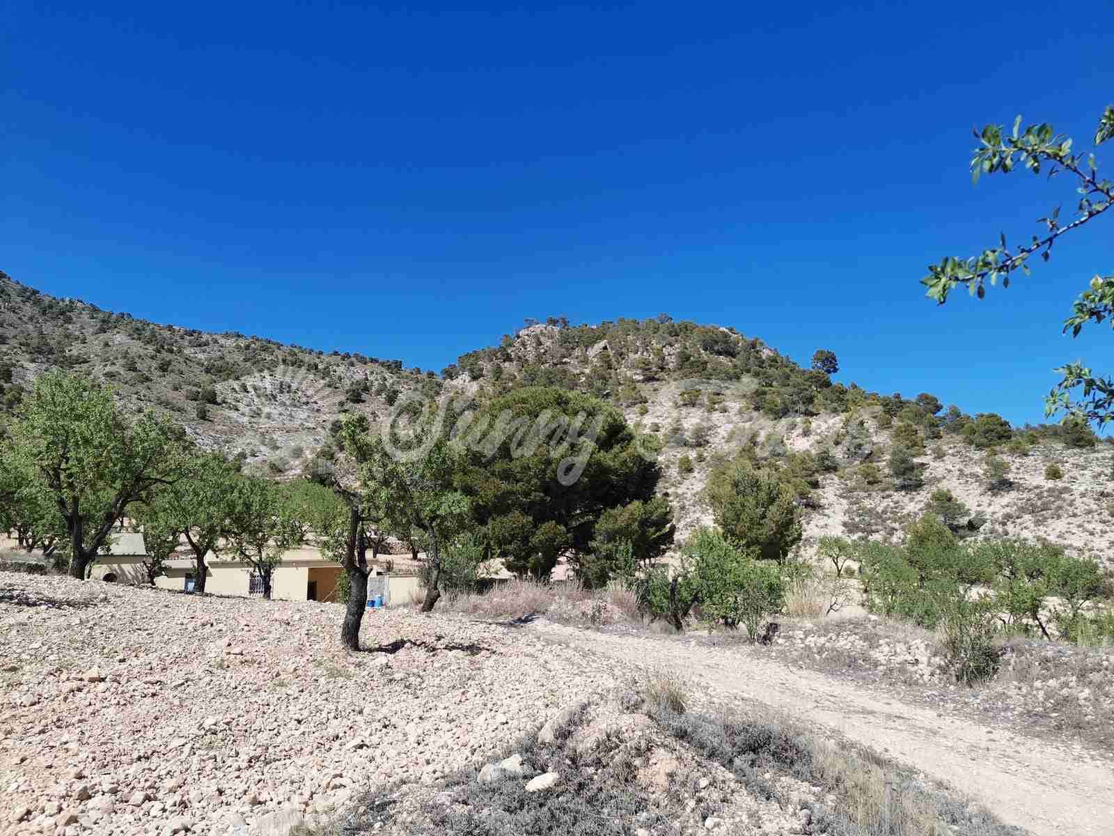 Finca/Landehus til salg i Salinas med garage - € 85.000 (Ref: 7503780)