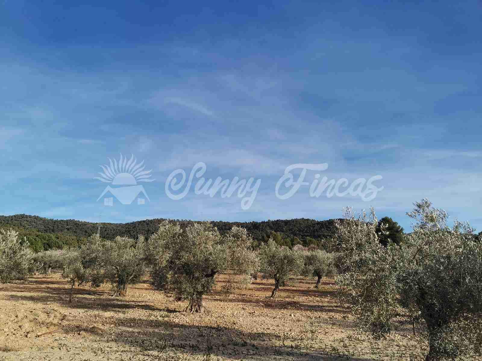 Byggegrund til salg i Biar - € 32.000 (Ref: 7531707)