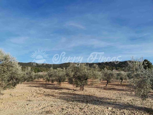 Tomt till salu i Biar - 32 000 € (Ref: 7531707)