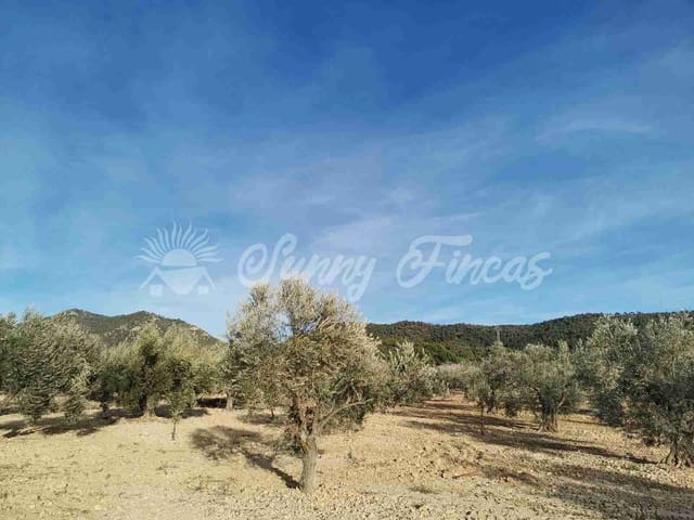 Tomt till salu i Biar - 32 000 € (Ref: 7531707)