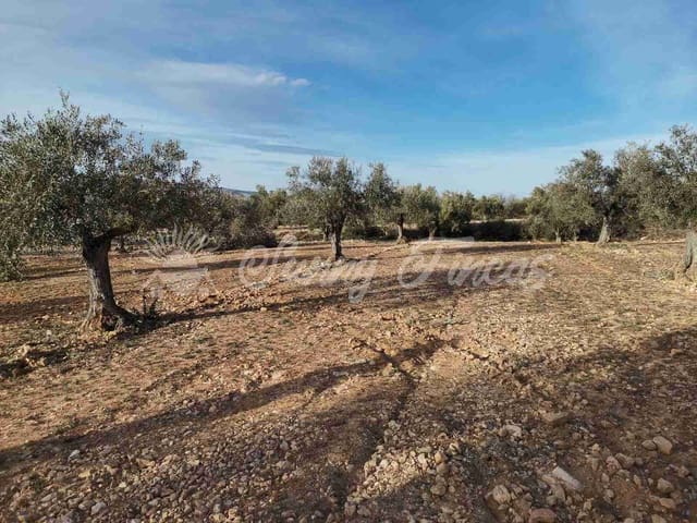 Tomt till salu i Biar - 32 000 € (Ref: 7531707)