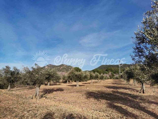 Tomt till salu i Biar - 32 000 € (Ref: 7531707)