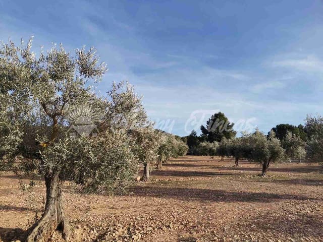 Tomt till salu i Biar - 32 000 € (Ref: 7531707)