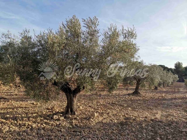 Tomt till salu i Biar - 32 000 € (Ref: 7531707)