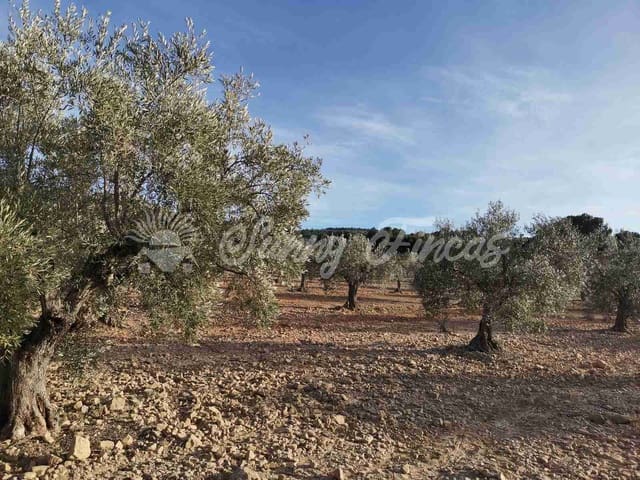 Tomt till salu i Biar - 32 000 € (Ref: 7531707)