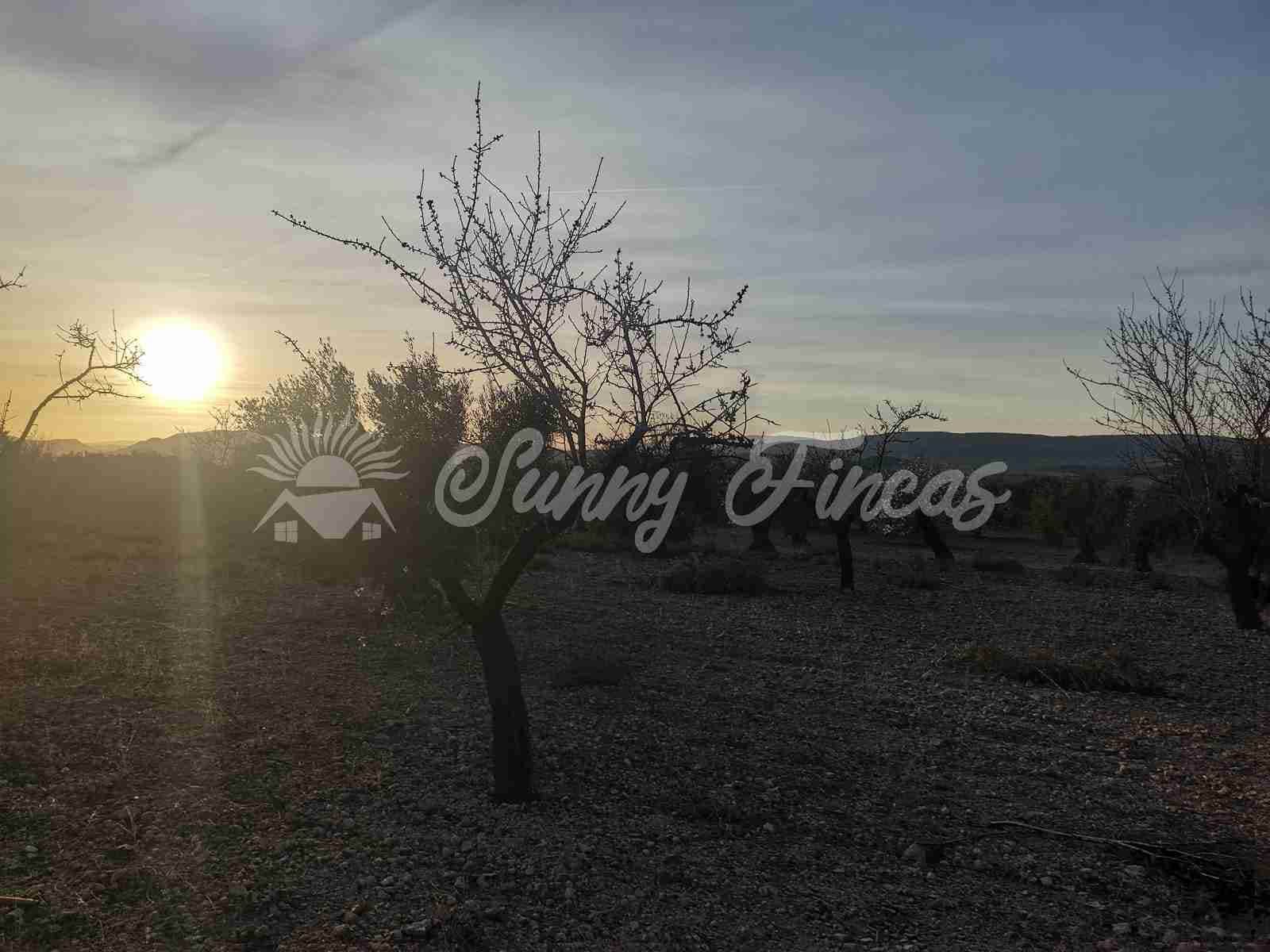 Działka budowlana na sprzedaż w Biar - 65 000 € (Ref: 7531720)