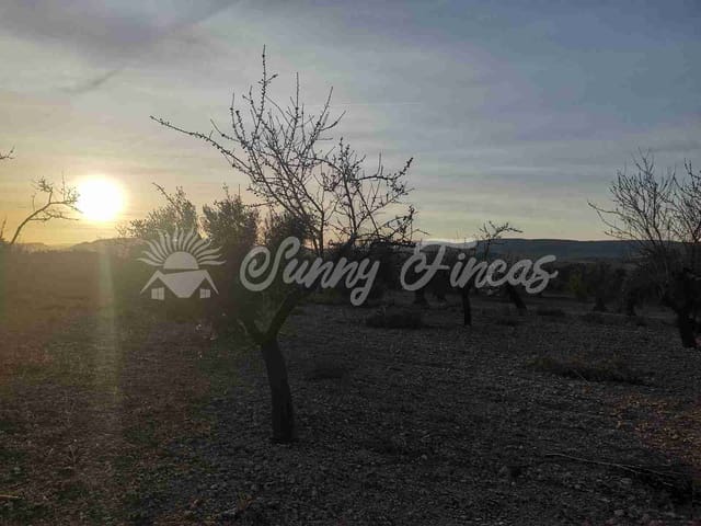 Tomt till salu i Biar - 65 000 € (Ref: 7531720)