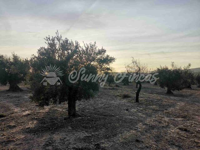 Tomt till salu i Biar - 65 000 € (Ref: 7531720)