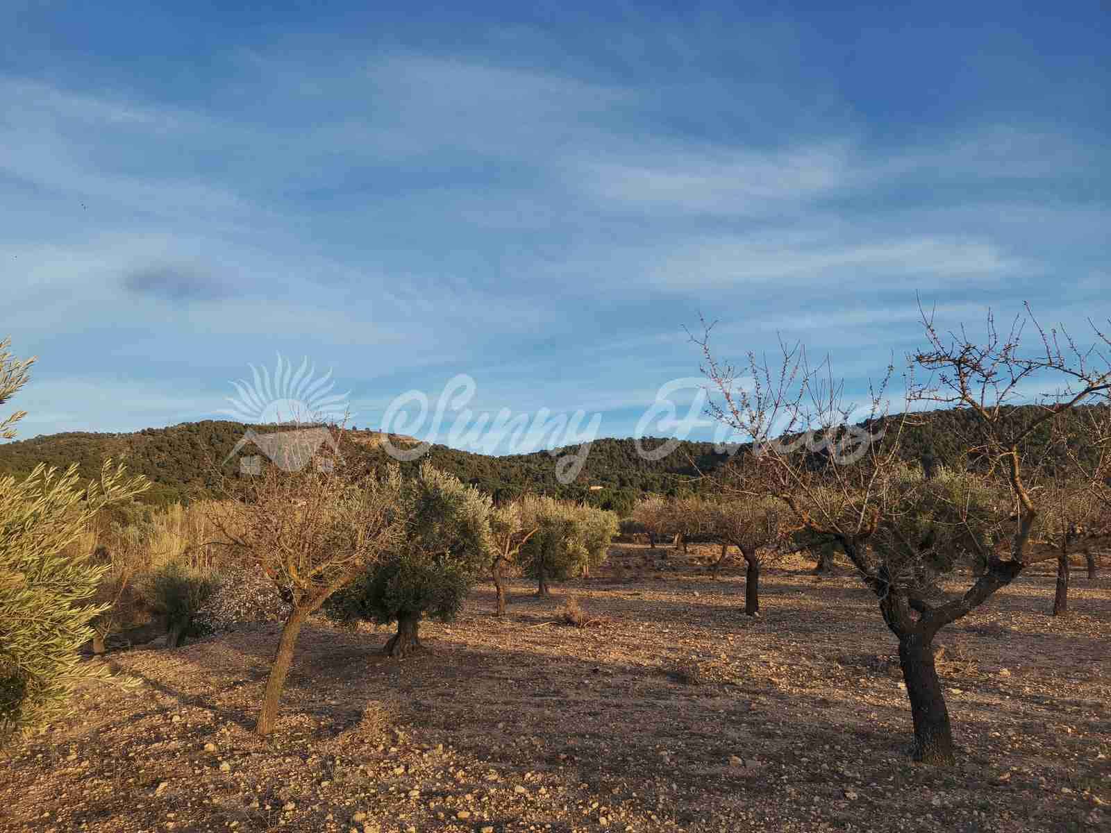 Działka budowlana na sprzedaż w Biar - 65 000 € (Ref: 7531720)