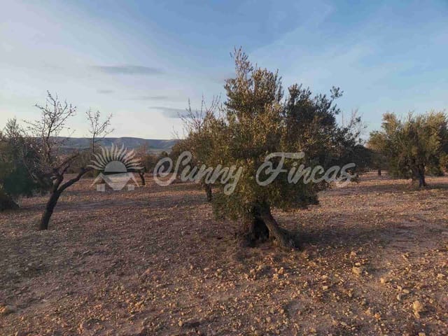 Tomt till salu i Biar - 65 000 € (Ref: 7531720)