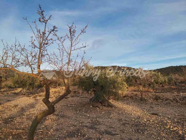 Tomt till salu i Biar - 65 000 € (Ref: 7531720)