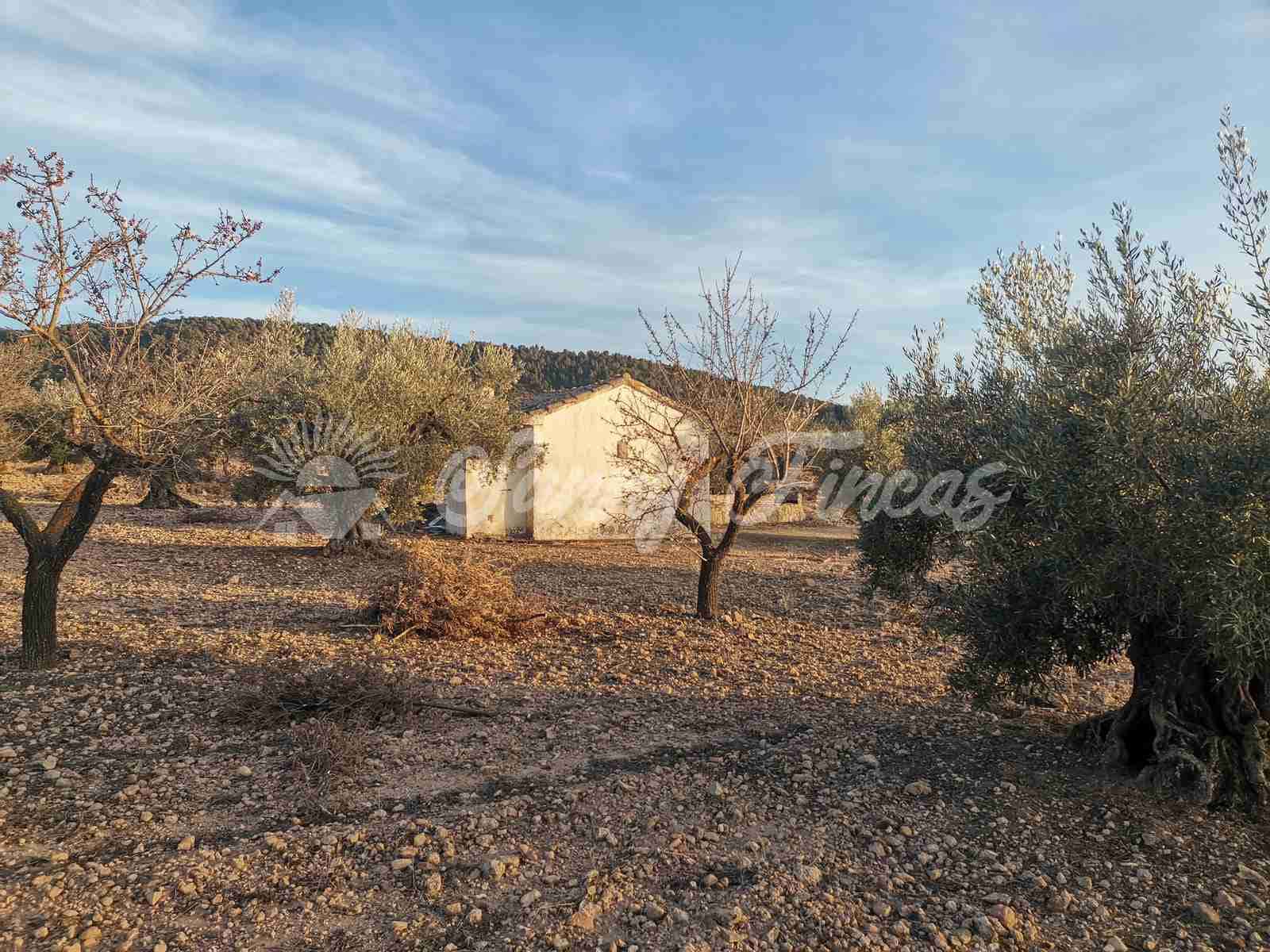 Działka budowlana na sprzedaż w Biar - 65 000 € (Ref: 7531720)