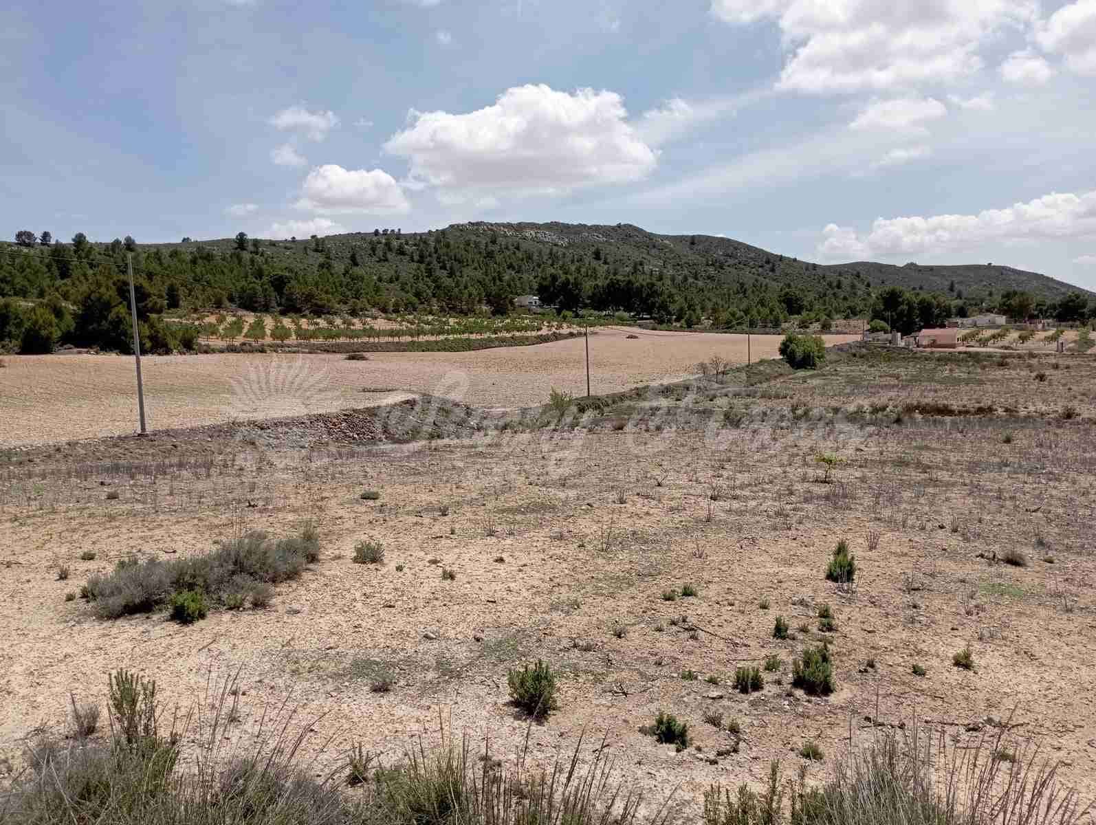 Byggegrund til salg i Yecla - € 25.000 (Ref: 7617846)