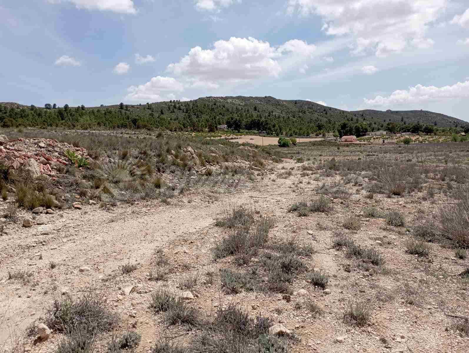 Byggegrund til salg i Yecla - € 25.000 (Ref: 7617846)