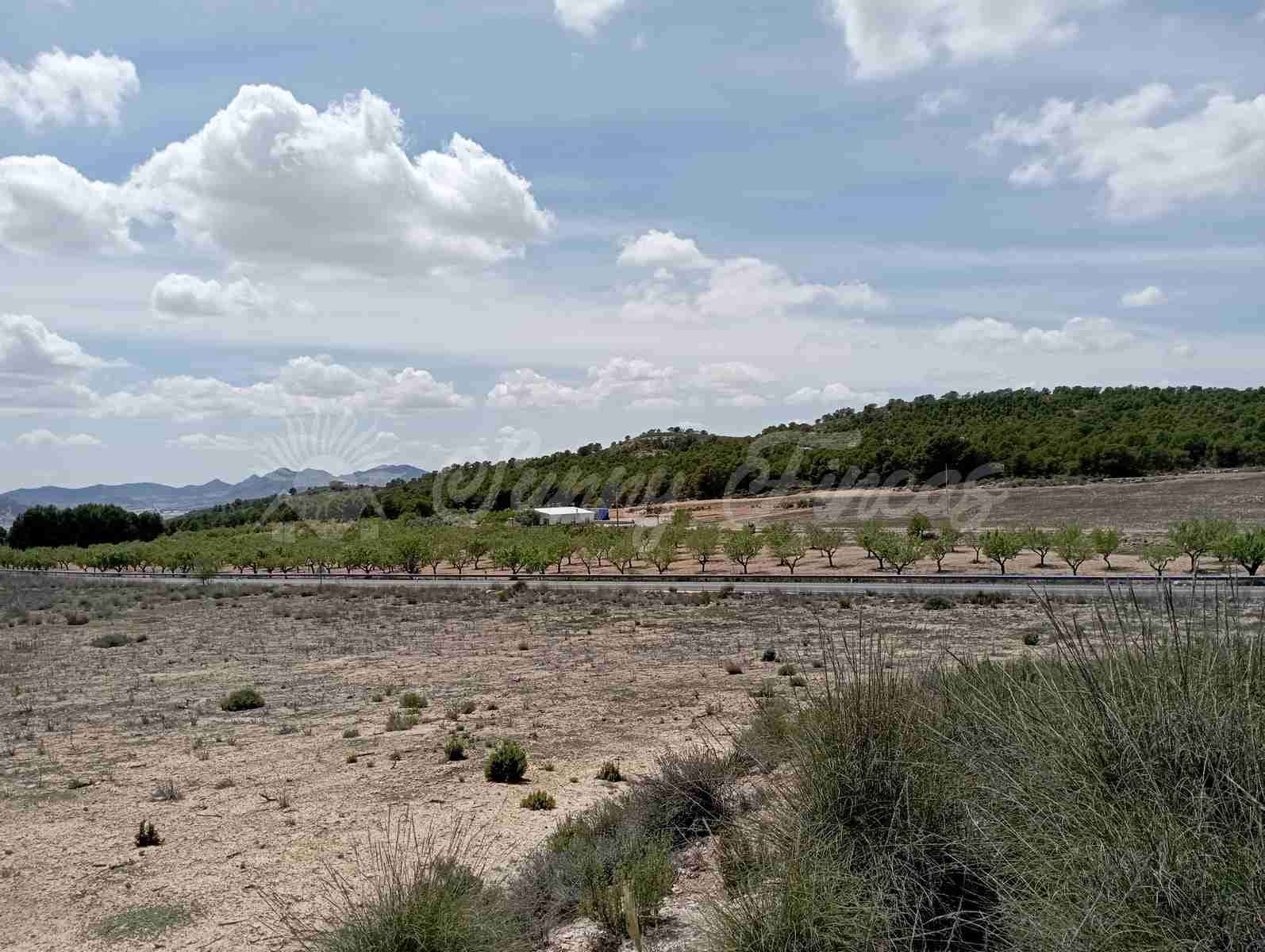 Byggegrund til salg i Yecla - € 25.000 (Ref: 7617846)