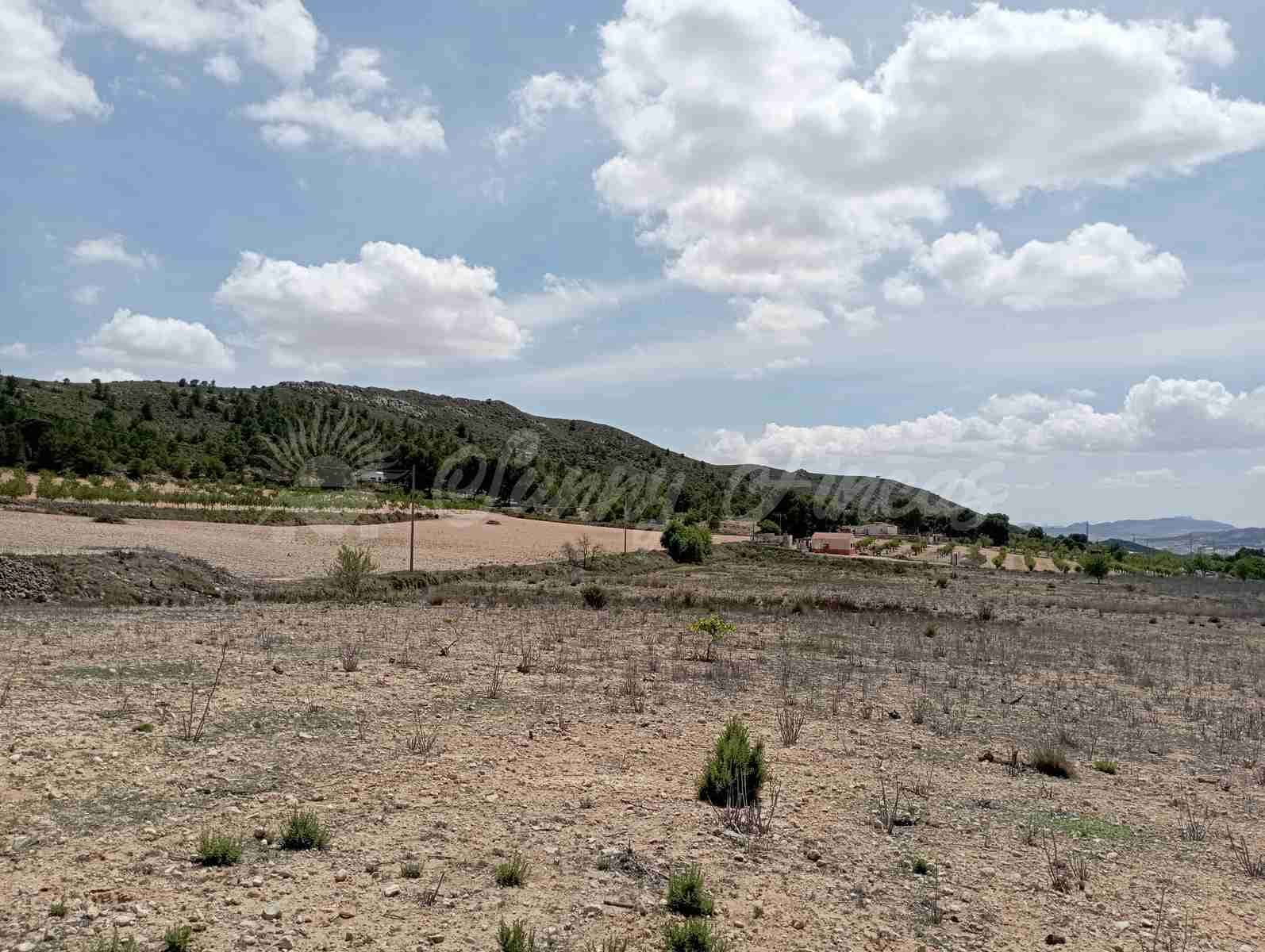 Byggegrund til salg i Yecla - € 25.000 (Ref: 7617846)