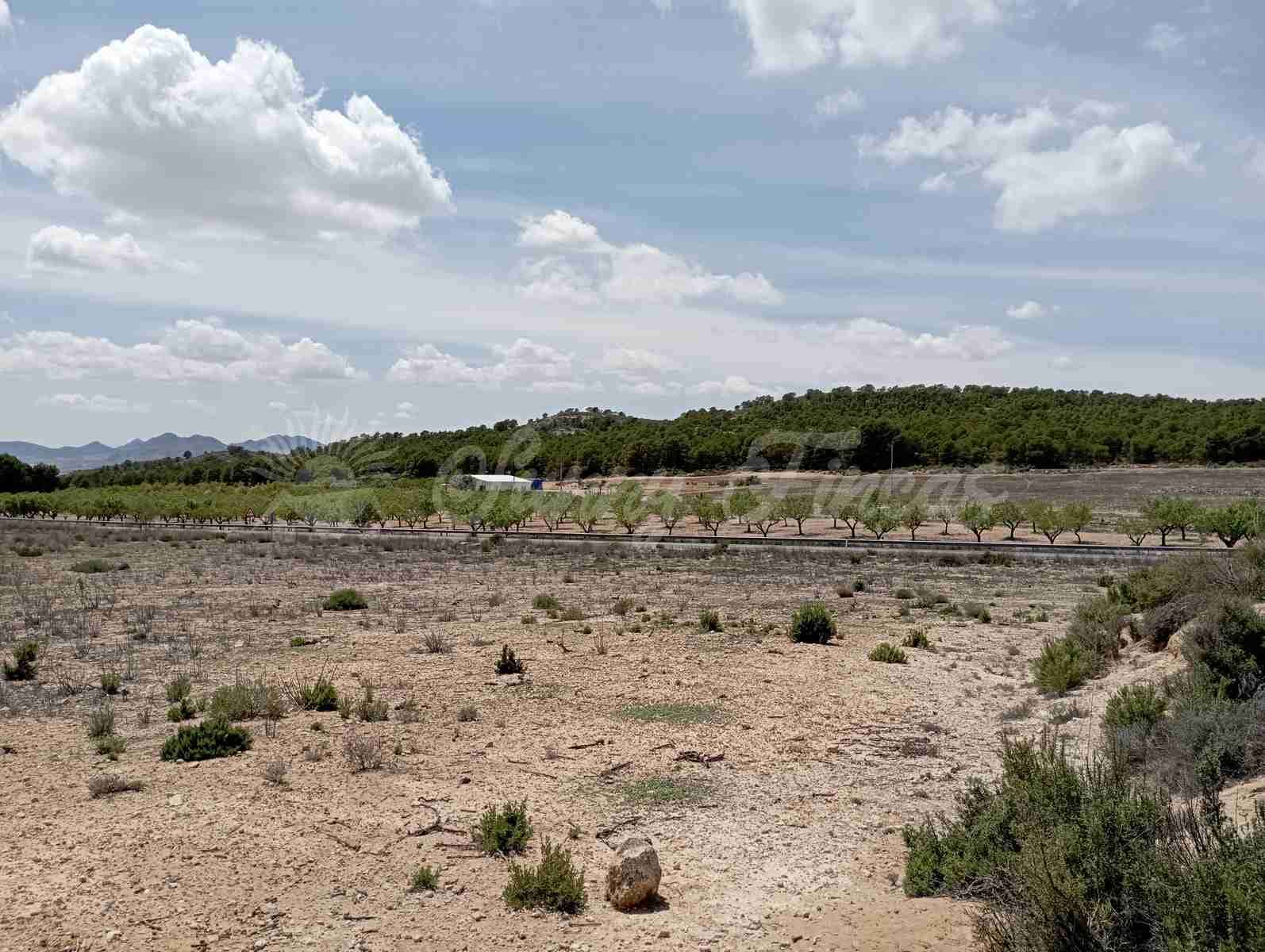 Byggegrund til salg i Yecla - € 25.000 (Ref: 7617846)