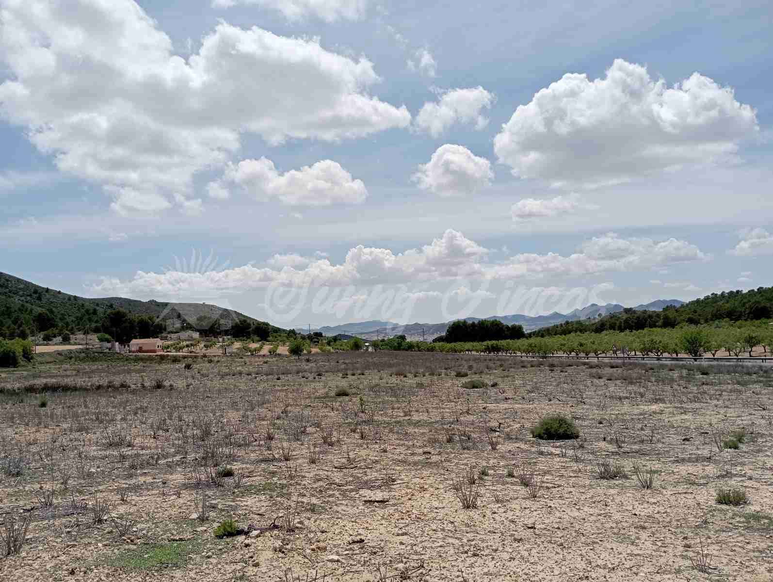 Byggegrund til salg i Yecla - € 25.000 (Ref: 7617846)