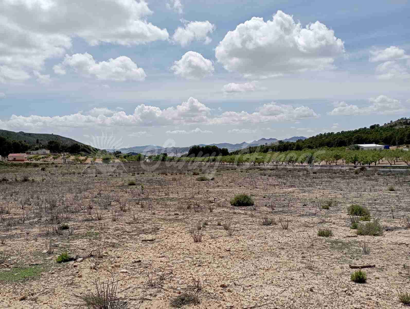 Byggegrund til salg i Yecla - € 25.000 (Ref: 7617846)