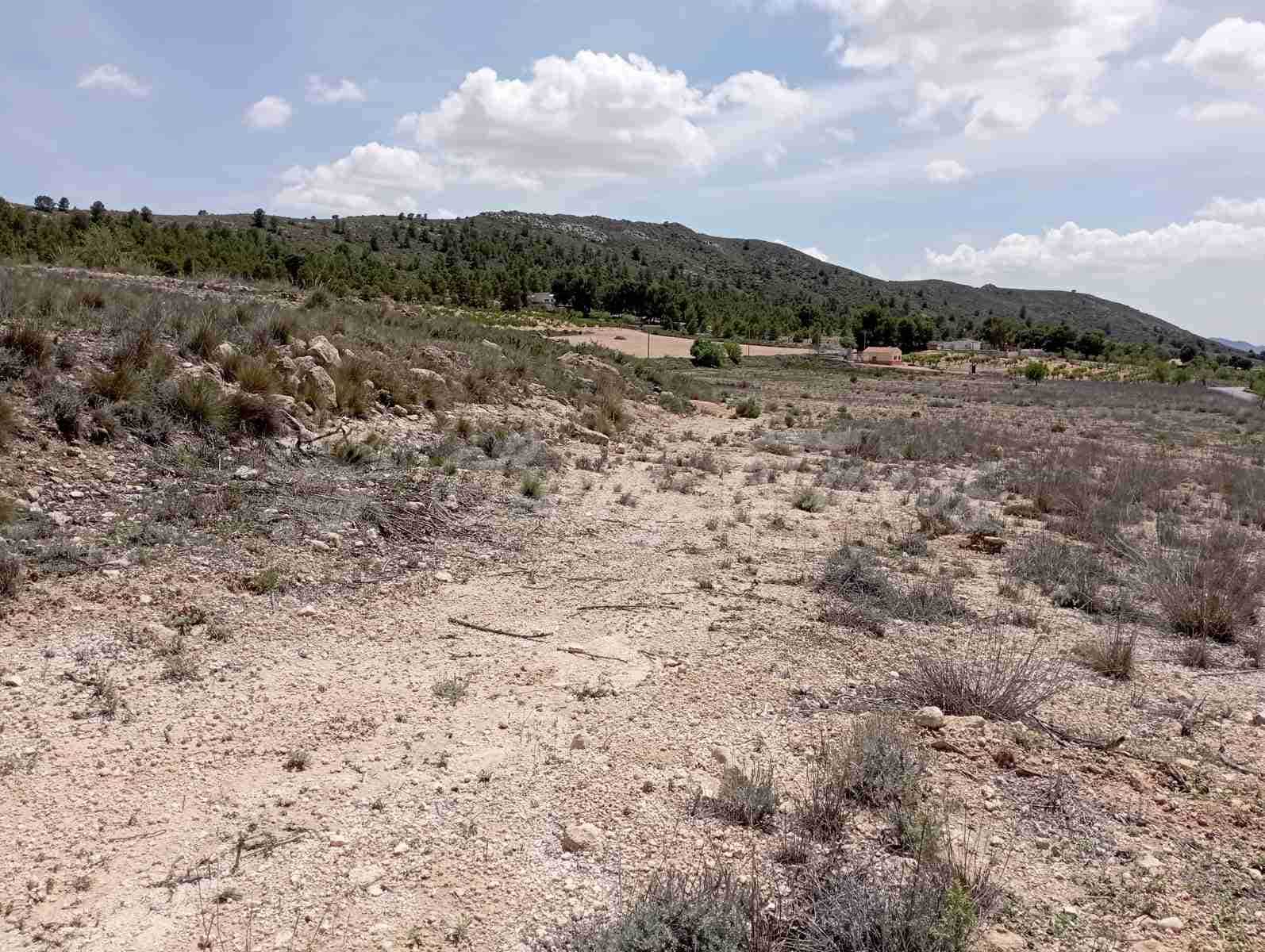 Byggegrund til salg i Yecla - € 25.000 (Ref: 7617846)