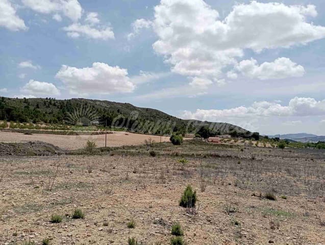 Tomt till salu i Yecla - 25 000 € (Ref: 7617846)