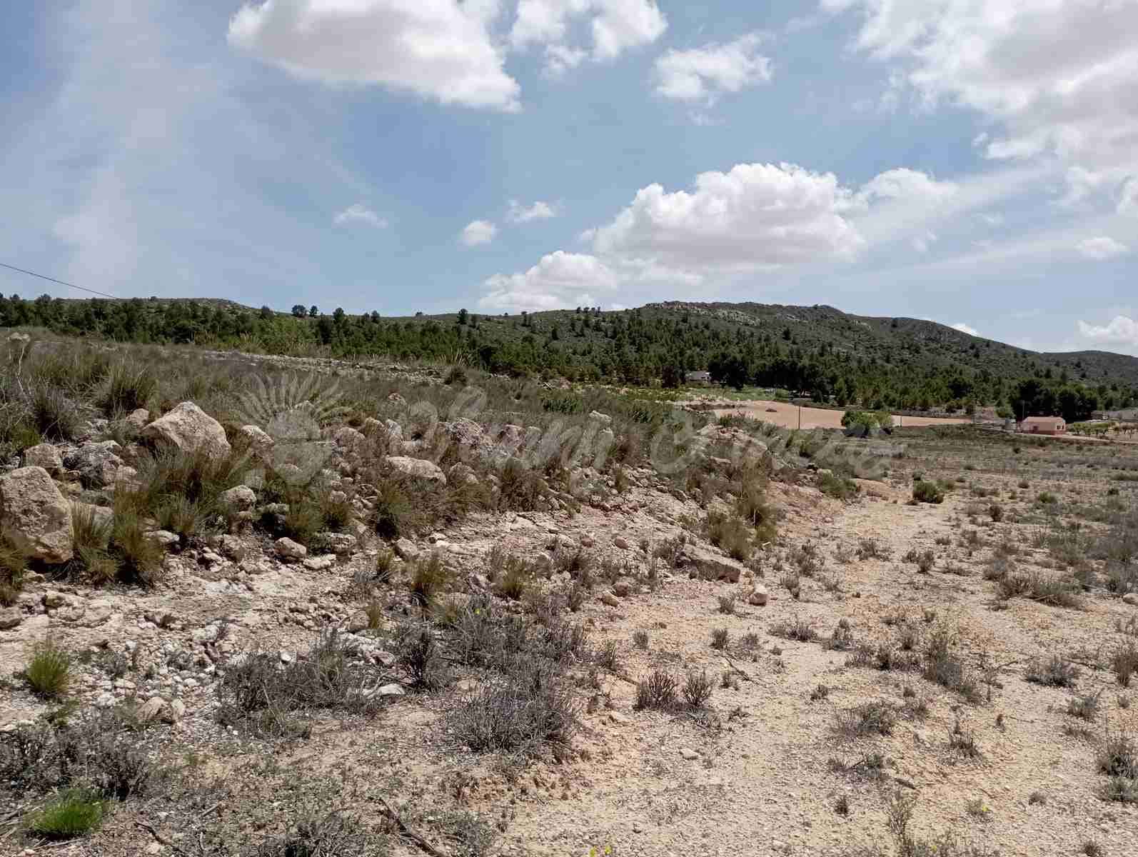 Byggegrund til salg i Yecla - € 25.000 (Ref: 7617846)