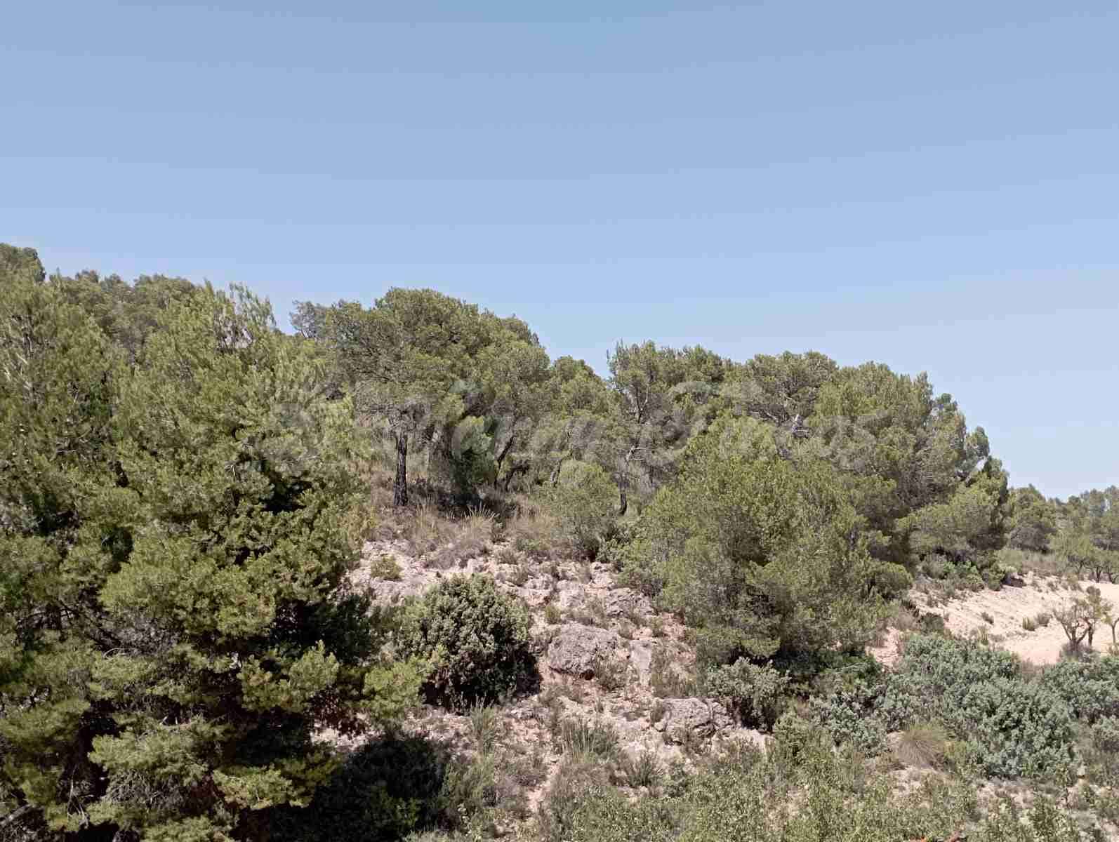 Byggegrund til salg i Raspay - € 63.000 (Ref: 7702958)