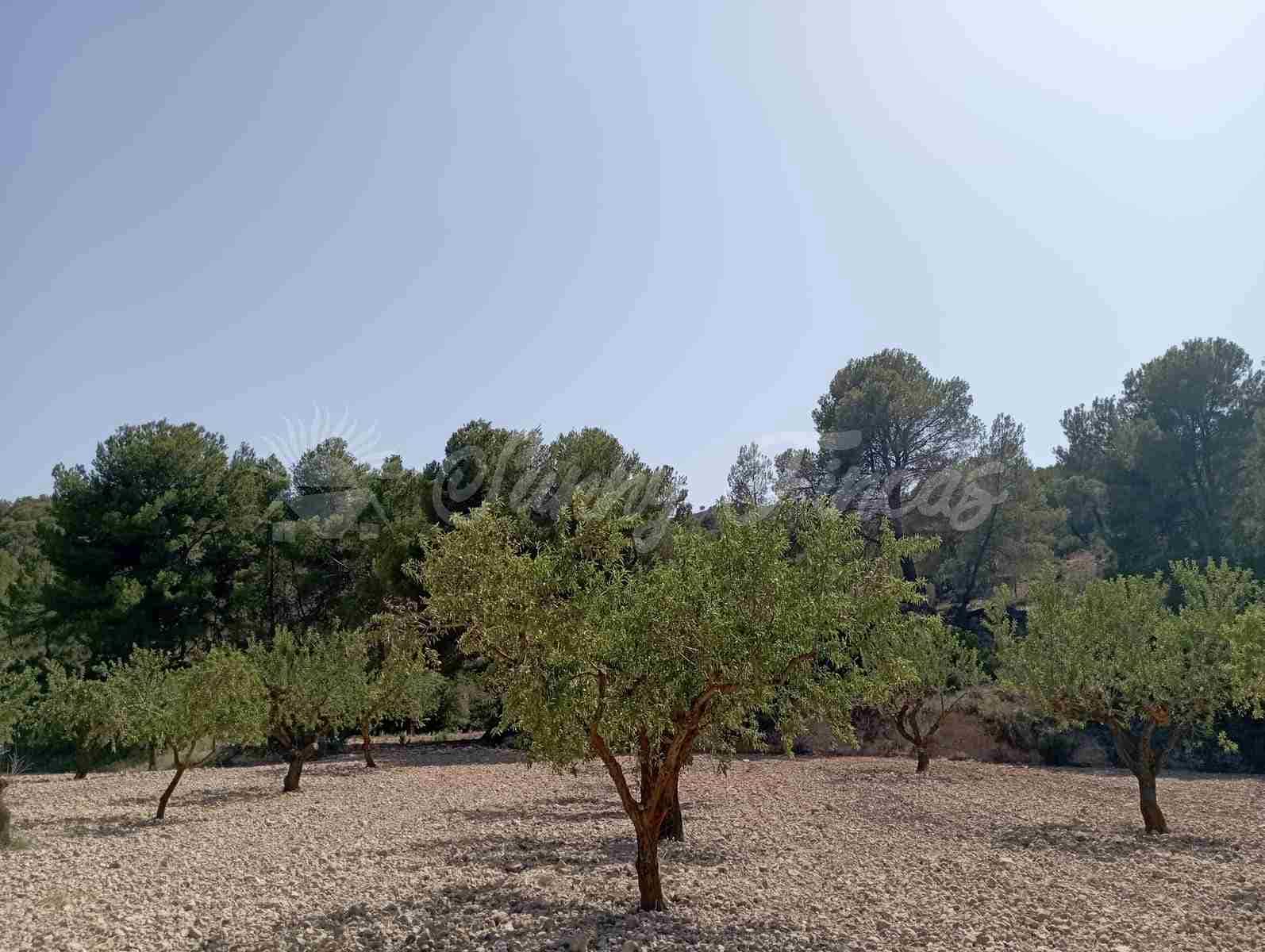 Byggegrund til salg i Raspay - € 63.000 (Ref: 7702958)