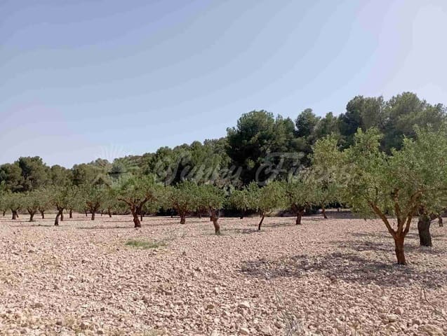 Bouwgrond te koop in Raspay, Yecla - € 63.000 (Ref: 7702958)